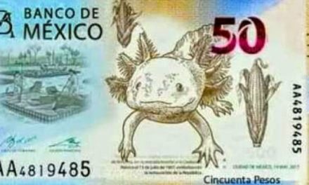 Adiós a Morelos en billete de 50 pesos, ahora lo protagonizará un axolotl