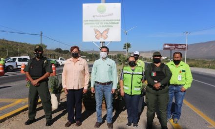 Saltillo lanza campaña para protección de mariposas monarca