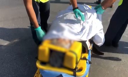 Mujer pierde la vida tras ser arrollada por no usar el puente peatonal