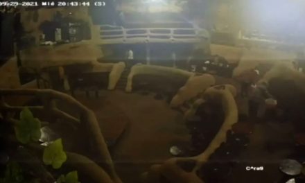 Con calma y tranquilidad; así le prendieron fuego al Baby’ O en Acapulco (video)