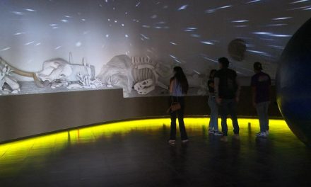 Invita MUDE a vivir una ‘noche de linternas’