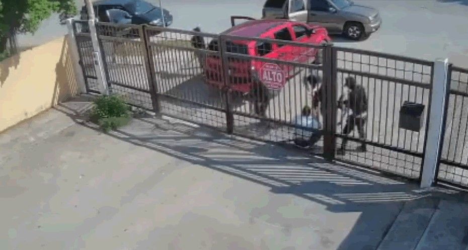 Así secuestraron a expolicía municipal de Cancún (video)