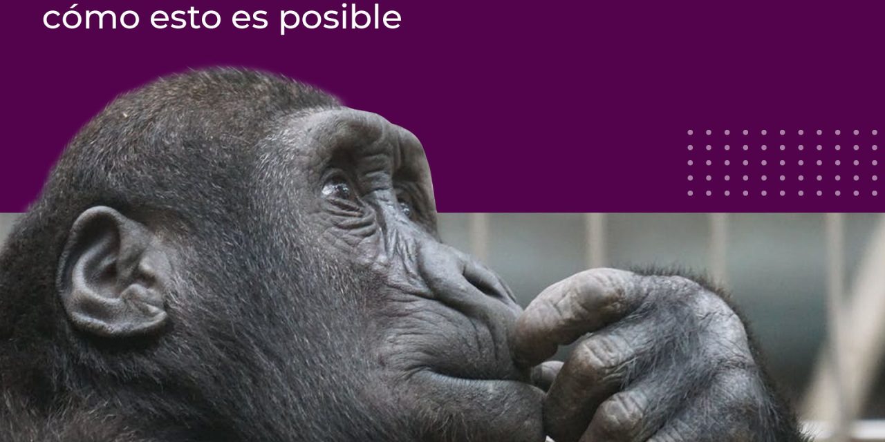 ¿Por qué ‘usar la cabeza’ no siempre es lo más inteligente que uno puede hacer?