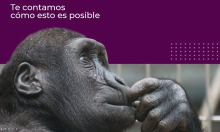 ¿Por qué ‘usar la cabeza’ no siempre es lo más inteligente que uno puede hacer?