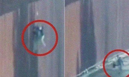 ‘Coyote’ abandona a pequeña de siete años luego de cruzar la frontera (video)