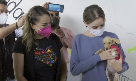 Senadora de Coahuila busca incentivos para refugios de animales