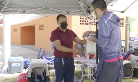 Todo un éxito la Feria por el Día Mundial de los Animales en Saltillo