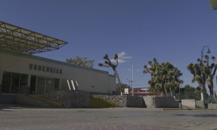 Llama IMSS a reforzar hábitos de higiene
