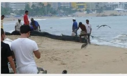 Meseros Vs Turistas; se arma tremenda pelea campal en playas de Acapulco (video)