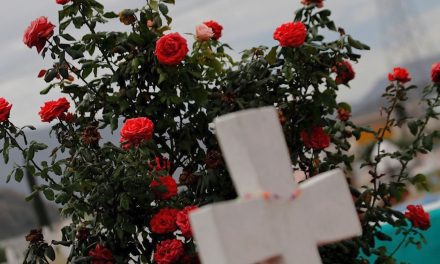 Quinta exhumación masiva en Coahuila