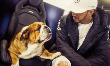 Lewis Hamilton podría ir a prisión… ¡por volver vegano a su perro!