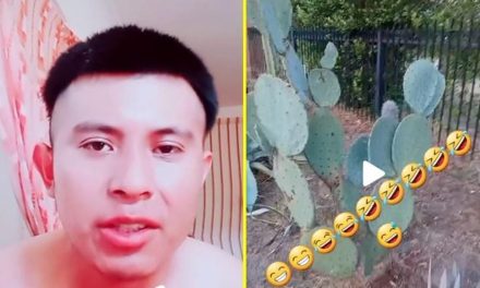 ‘Parecen puercos’; guatemalteco insulta a mexicanos por comer nopales