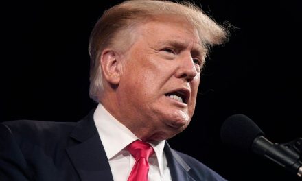 Donald Trump quería enviar militares a México para combatir al narco: NYT
