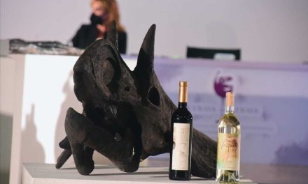 Coahuila se encuentra listo para el Tianguis Turístico 2021 en Yucatán