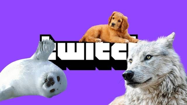 Twitch crea una categoría dedicada a los animales