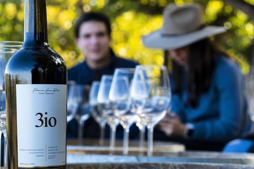 Reciben galardón de oro 11 vinos de Coahuila