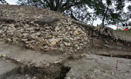 Encuentran vestigios y 2 mil 400 restos humanos en primer tramo del Tren Maya