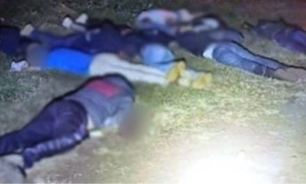 Asesinan a 11 cortadores de aguacate en Michoacán, seis eran menores de edad