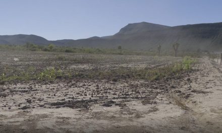 Duro futuro para el campo coahuilense: secretario de Desarrollo Rural de Ramos Arizpe