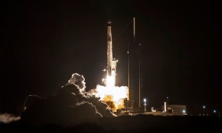 Despega el Spacex Crew 3 rumbo a la Estación Espacial Internacional