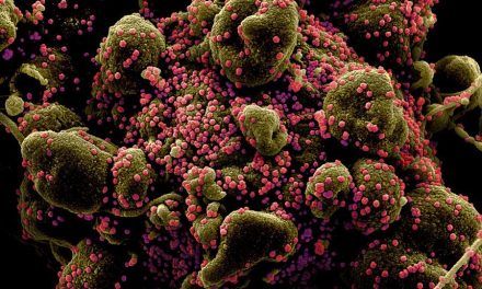 El mundo en alerta por ‘Ómicron’, la nueva variante de covid-19; México prepara protocolos