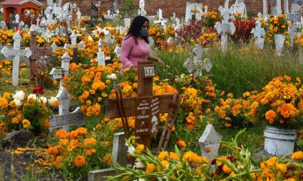 Los precios de alimentos y flores están para morirse