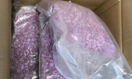 Pareja compra ropa por internet y recibe cargamento millonario de droga