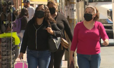 Tendrá SETRA jornada de empleo para mujeres en Coahuila