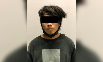 Acuchilla a su hermana y a su sobrino en Escobedo