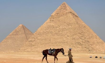 Escorpiones invaden Egipto y dejan 3 muertos y más de 400 personas heridas