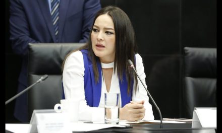 Senadora denuncia a líder del PAN por violencia política