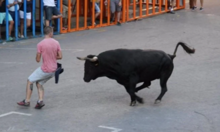 Muere hombre durante corrida de toros en España