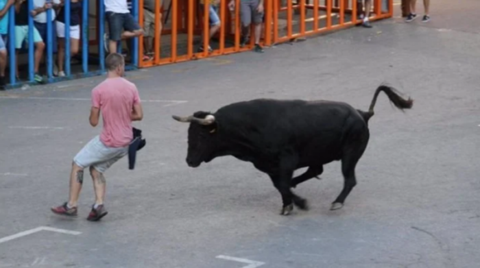 Muere hombre durante corrida de toros en España
