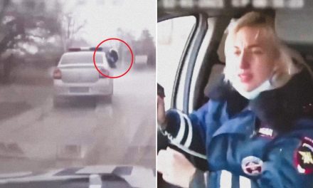 ¿Eres tu Natasha Romanoff?; policía rusa saca medio cuerpo del auto para disparar a auto fugitivo (video)