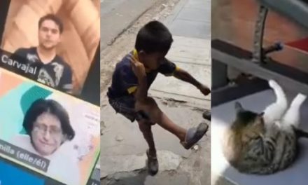 Los 5 videos virales del año, ¡adiós 2021!