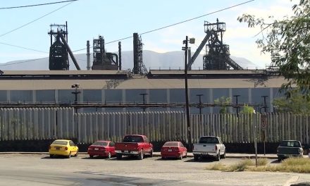 Proveedores de AHMSA contemplan tomar instalaciones de la empresa
