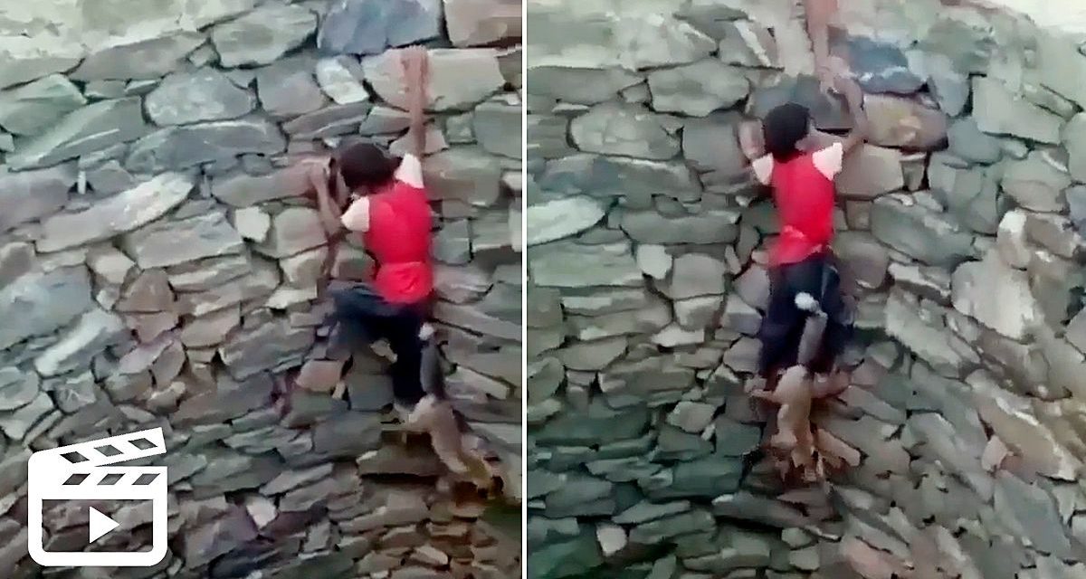 Niño intentó rescatar un zorro de un profundo pozo ¡lamentable final!