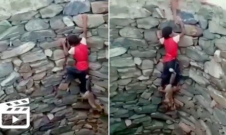 Niño intentó rescatar un zorro de un profundo pozo ¡lamentable final!