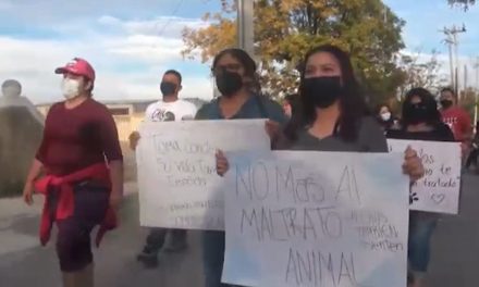 Marchan en Parras contra el maltrato animal; exigen justicia a las autoridades