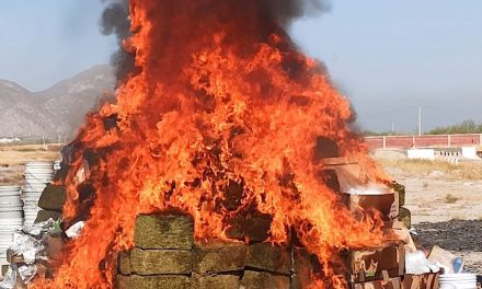 FGR incineró más de una tonelada de marihuana en Coahuila