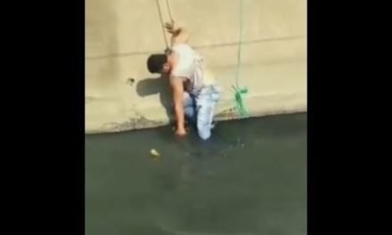 ‘Es un verdadero hombre’; Rescatan a perrito de un canal de aguas negras (video)