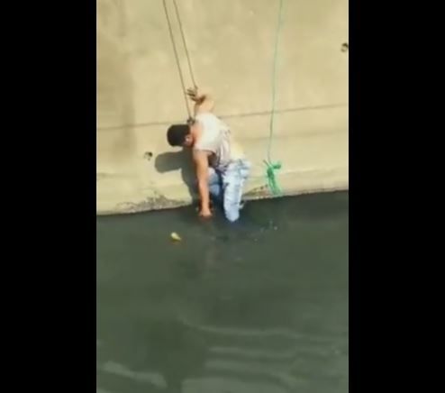 ‘Es un verdadero hombre’; Rescatan a perrito de un canal de aguas negras (video)