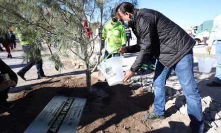 Saltillo cumple con agenda ambiental