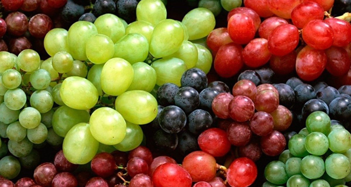 Por fin de año aumenta consumo de uvas en Saltillo