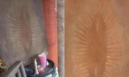 Mensaje de fe; aparece Virgen de Guadalupe en escombros de inundaciones en Tula (video)