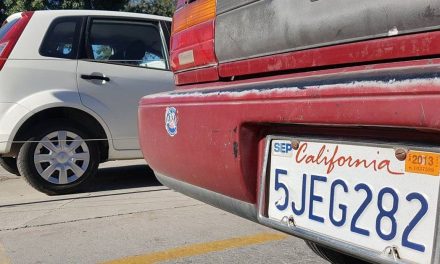 Sin reglas claras para regularización vehicular