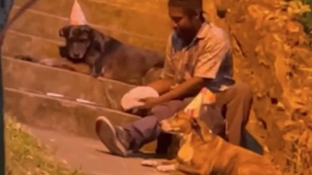 Indigente festeja a sus perrhijos; les compra un pastel y les pone gorritos