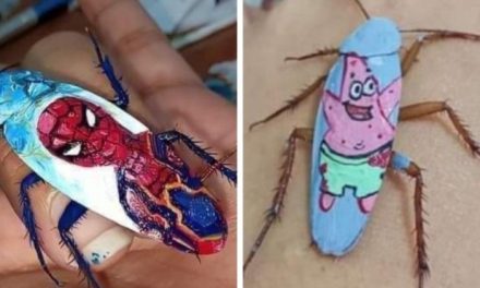 La joven que se gana la vida pintando sobre cucarachas
