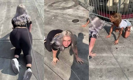 Gana millones actuando como perro; se vuelve viral por protagoniza pelea con otra ‘mascota’ (video)