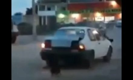 Amarra a perritos a su auto y los arrastra varios metros; exigen castigo en Sinaloa (video)